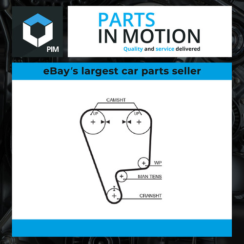 Racing timing belt - belt, fits