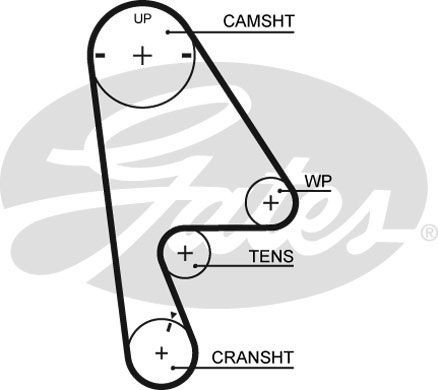 Gates timing belt - timing, pump